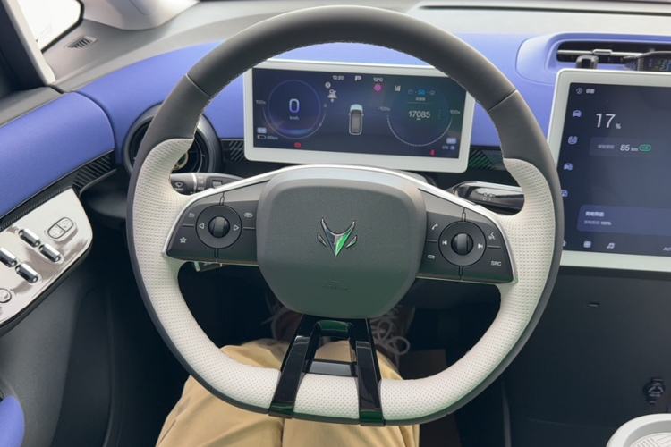 Used ARCFOX Kaola 2023 Family Edition Interior 10