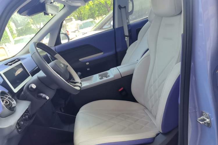 Used ARCFOX Kaola 2023 Family Edition Left Front Seat