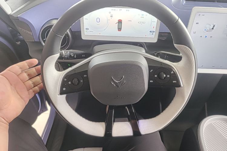 Used ARCFOX Kaola 2023 Family Edition Steering Wheel