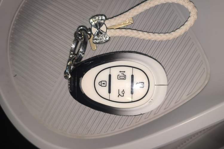 Used ARCFOX Kaola 2023 Family Edition Vehicle Key