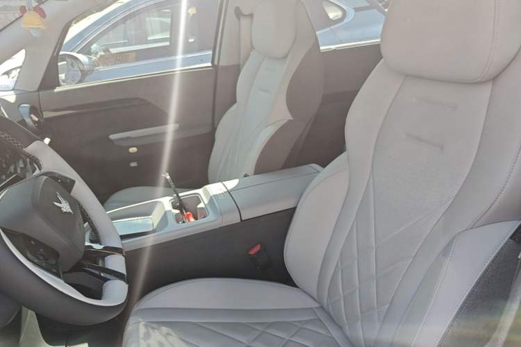 Used ARCFOX Kaola 2023 Family Edition Left Front Seat