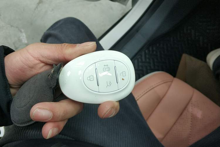 Used ARCFOX Kaola 2023 Family Edition Vehicle Key