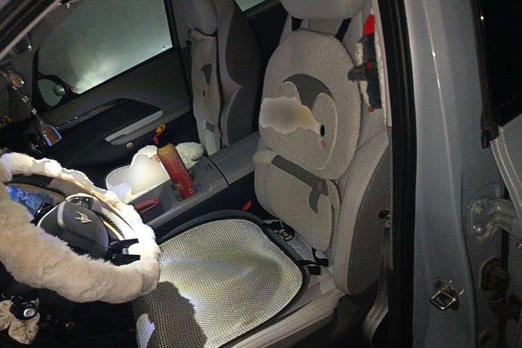 Used ARCFOX Kaola 2024 Family Edition AIR Left Front Seat