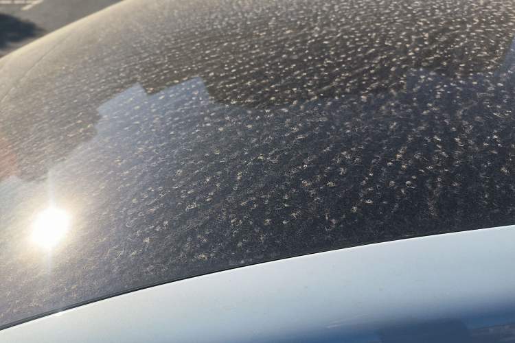 Used ARCFOX Kaola S 2024 AIR Roof