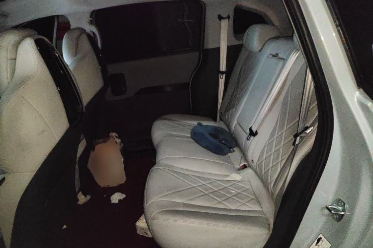 Used ARCFOX Kaola S 2024 AIR Left Rear Seat