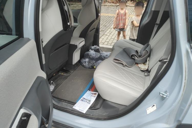 Used ARCFOX Kaola S 2024 AIR Left Rear Seat