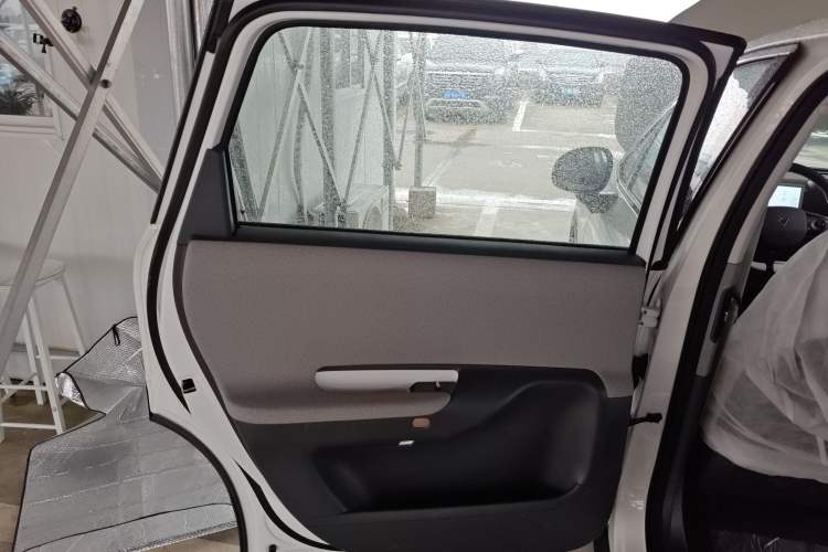 Used ARCFOX Kaola S 2024 AIR Left Rear Door Interior