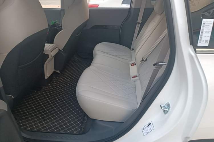 Used ARCFOX Kaola S 2026 Model 520 AIR Left Rear Seat
