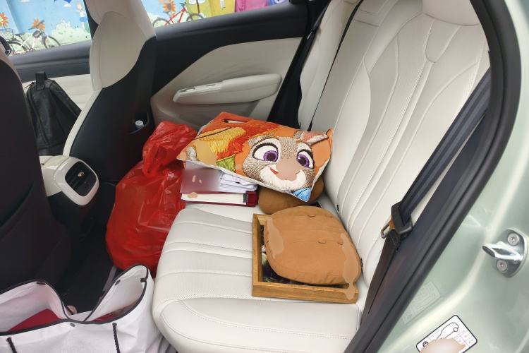 Used ARCFOX T1 2025 Model 425 PRO Left Rear Seat