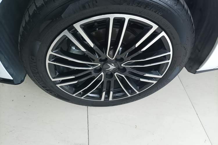 Used ARCFOX T1 2025 Model 425 MAX Exterior 4