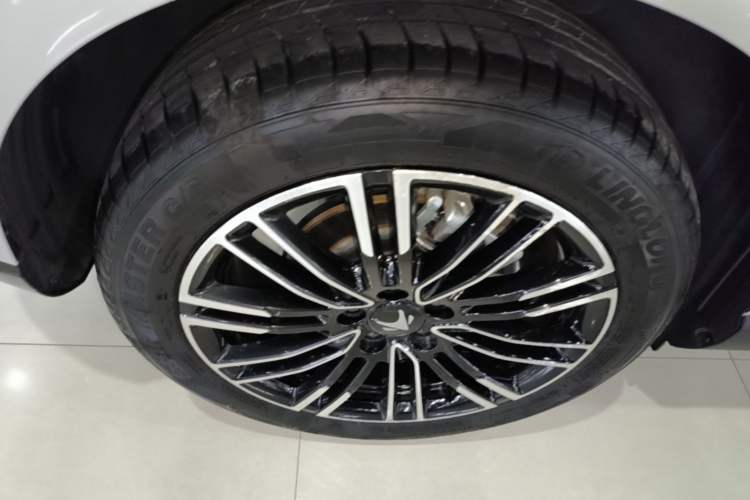 Used ARCFOX T1 2025 Model 425 MAX Exterior 5
