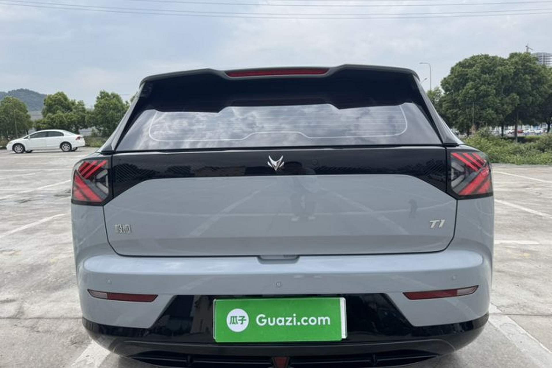 Used ARCFOX T1 2025 Model 320 PRO Exterior 8