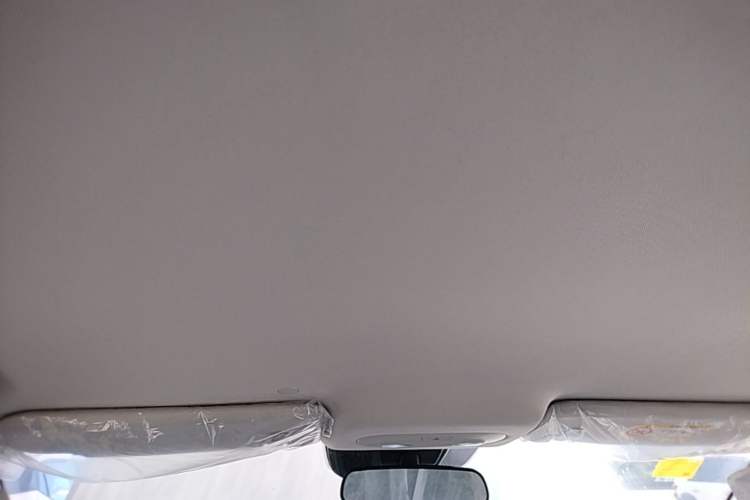 Used ARCFOX T1 2025 Model 425 PRO Headliner