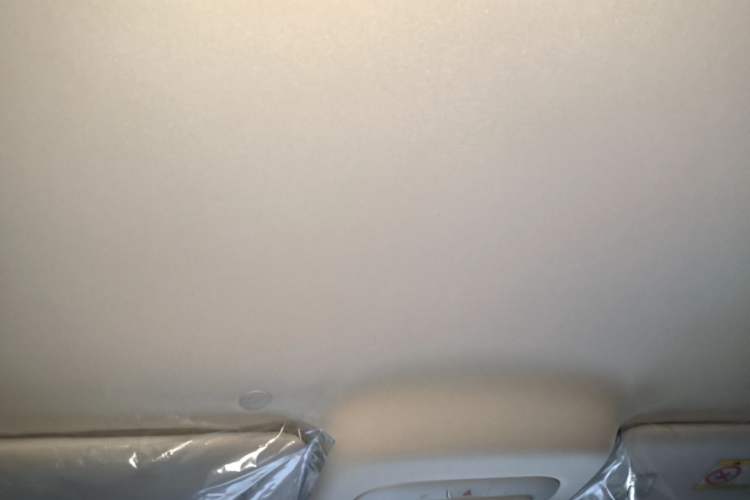 Used ARCFOX T1 2025 Model 320 PRO Headliner