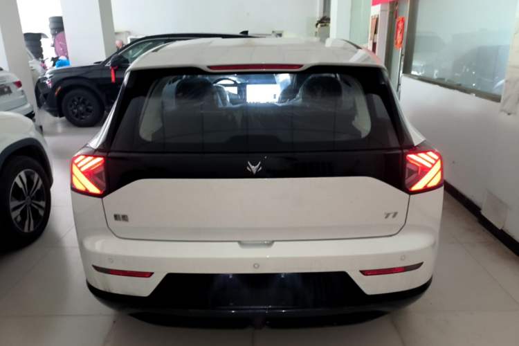 Used ARCFOX T1 2025 Model 320 PRO Rear