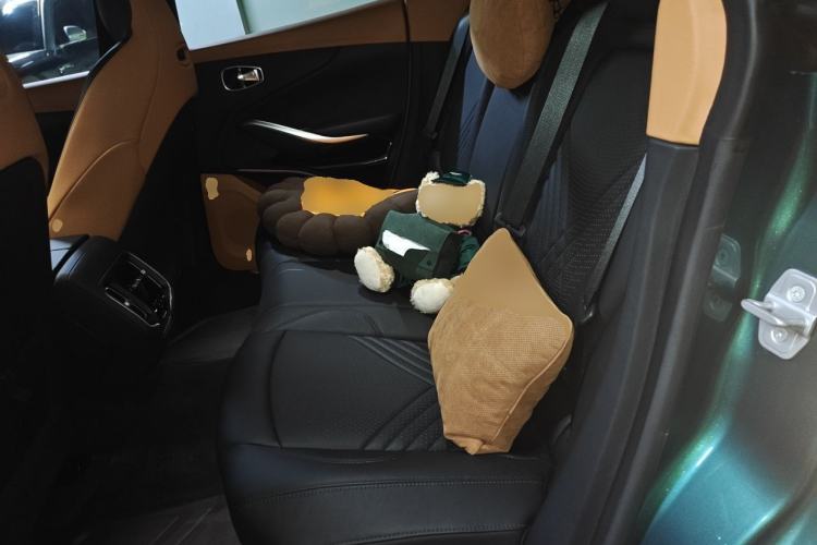 Used AstonMartin DBX 2023 3.0T STRAIGHT-SIX Left Rear Seat