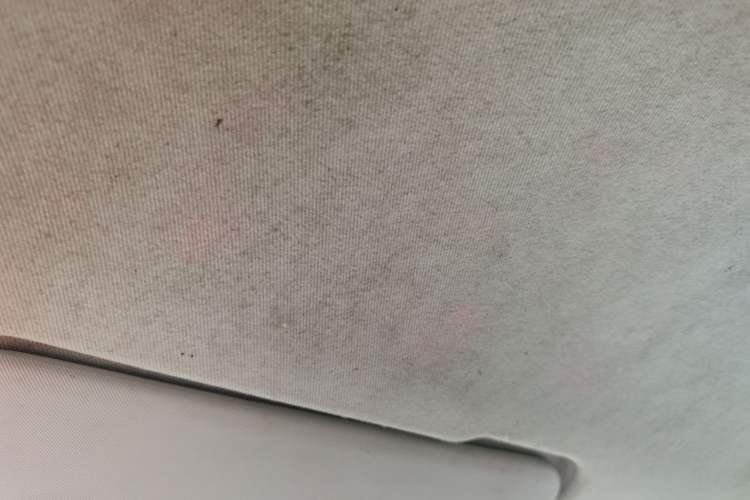 Used AstonMartin Rapide  Headliner