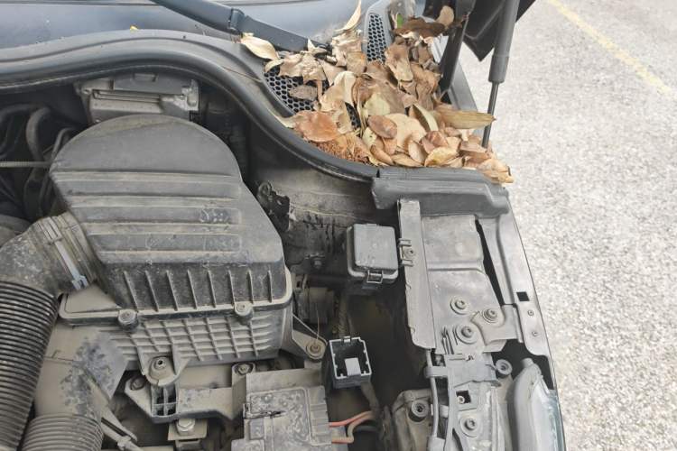 Used Audi A1 2013 30 TFSI Sportback Ego Engine Bay Left