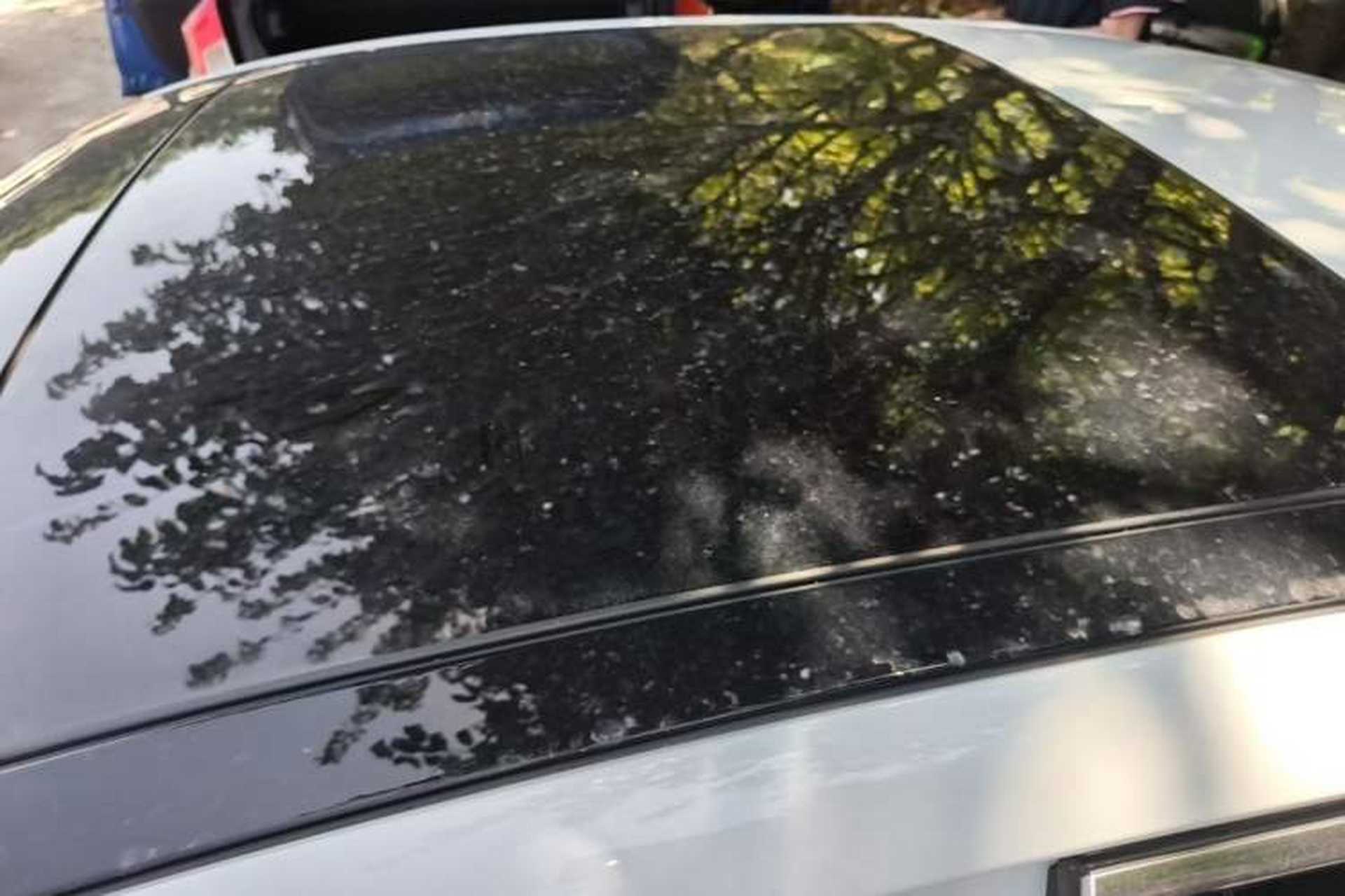 Used Audi A3 2017 Limousine 35 TFSI Fashion Model Roof