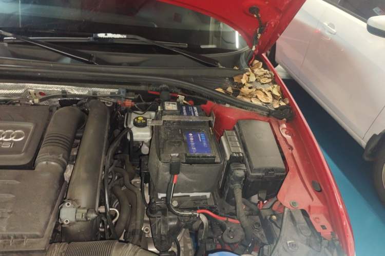 Used Audi A3 2018 30th Anniversary Edition Sportback 35 TFSI Ambition Model Engine Bay Left