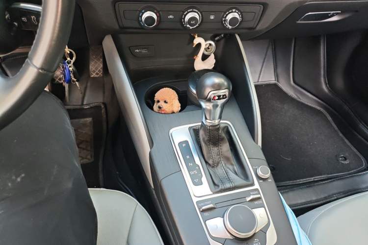 Used Audi A3 2018 30th Anniversary Edition Limousine 35 TFSI Ambition Model Gear Lever