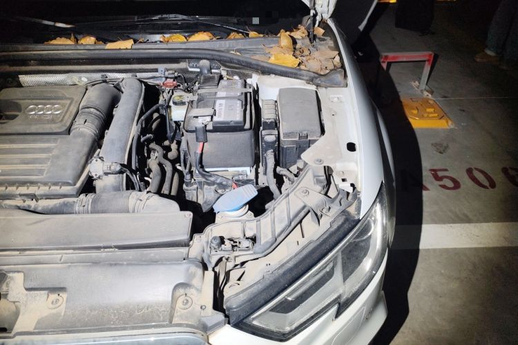Used Audi A3 2018 30th Anniversary Edition Limousine 35 TFSI Fashion Model Engine Bay Left