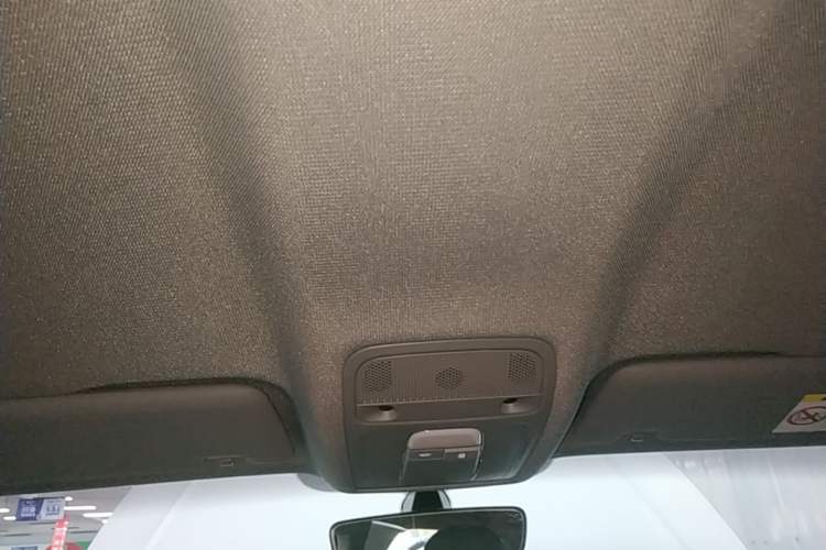 Used Audi A3 2018 30th Anniversary Edition Sportback 35 TFSI Ambition Model Headliner