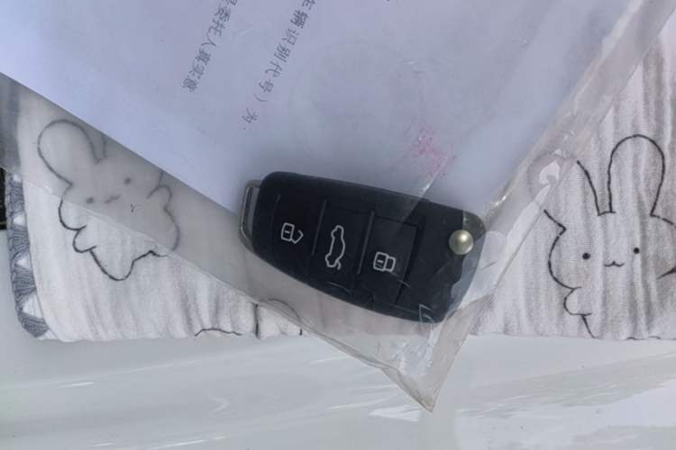 Used Audi A3 2019 Limousine 35 TFSI Ambition China V Vehicle Key