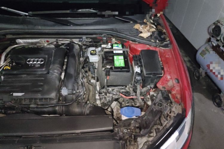 Used Audi A3 2020 Restyled Sportback 35 TFSI Entry-Level China VI Emission Standard Engine Bay Left