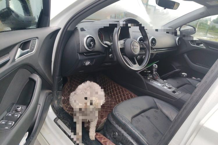 Used Audi A3 2020 Limousine 35 TFSI Fashion Edition China VI Emission Standard Driver Seat