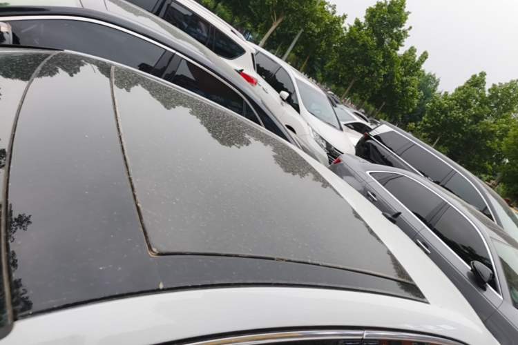 Used Audi A3 2020 Limousine 35 TFSI Fashion Edition China VI Emission Standard Roof