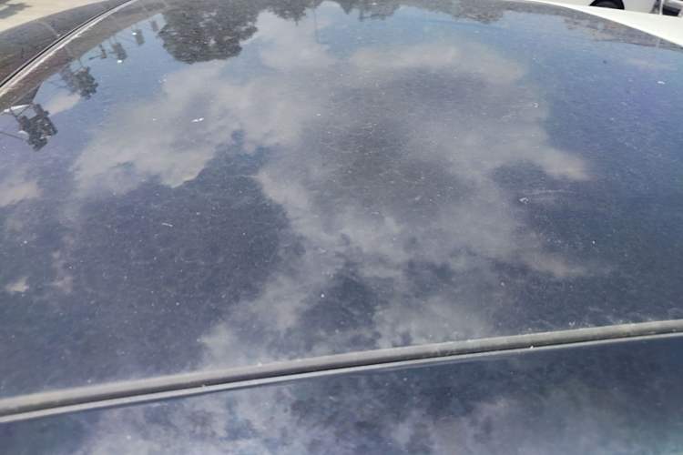 Used Audi A3 2020 Sportback 35 TFSI Fashion Edition China VI Emission Standard Roof