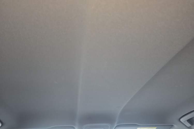 Used Audi A3 2021 A3L Limousine 35 TFSI Progressive Sport Edition Headliner