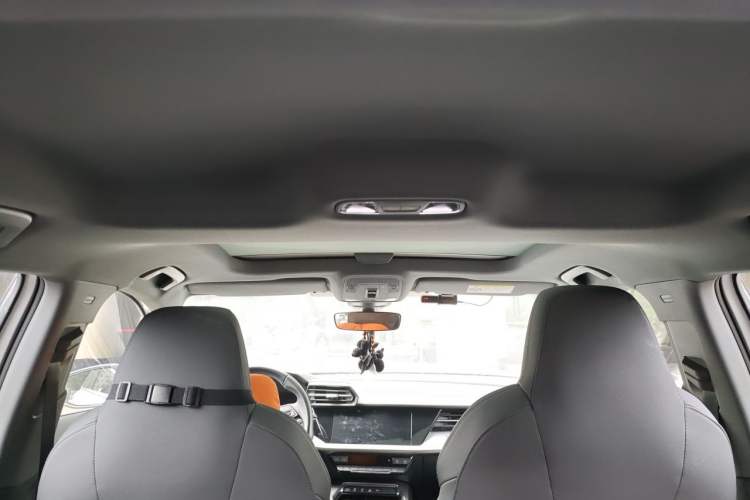 Used Audi A3 2021 Sportback 35 TFSI Luxury Sports Model Headliner