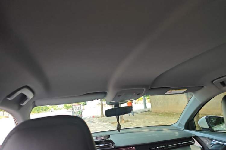 Used Audi A3 2021 Sportback 35 TFSI Advanced Sport Edition Headliner