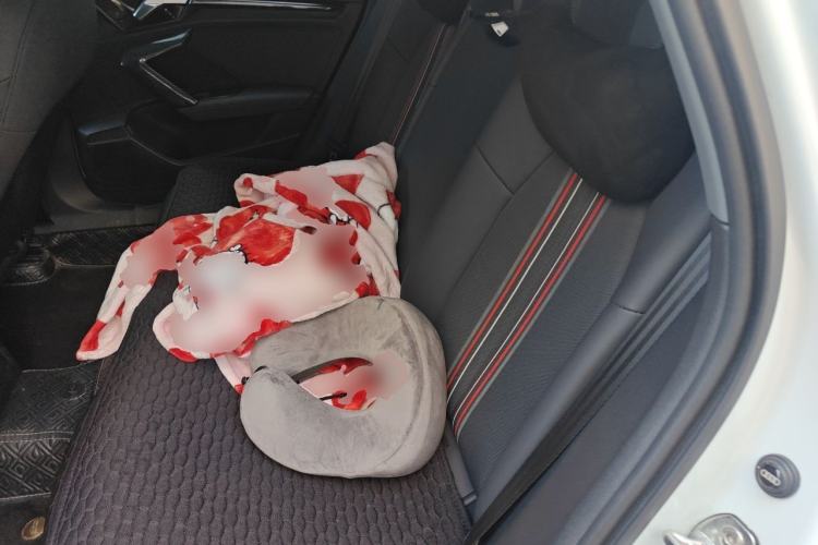 Used Audi A3 2021 A3L Limousine 35 TFSI Fashion Sport Model Left Rear Seat