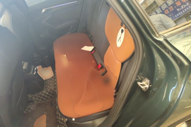 Used Audi A3 2022 Sportback 35 TFSI Luxury Sports Model Left Rear Seat