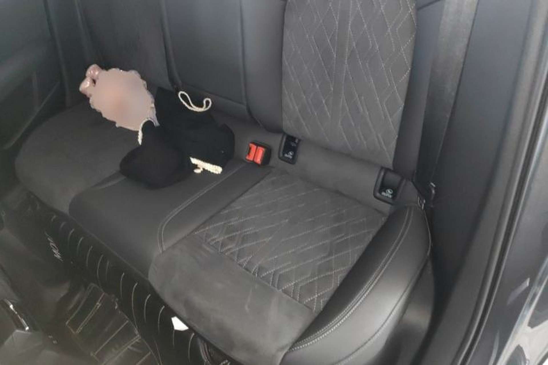 Used Audi A3 2022 Sportback 35 TFSI Luxury Sports Model Left Rear Seat