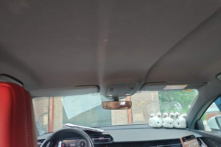 Used Audi A3 2022 Sportback 35 TFSI Ambition Sport Edition Headliner