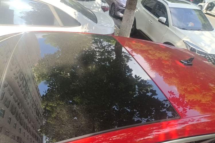 Used Audi A3 2023 Sportback 35 TFSI Fashionable Sports Model Roof