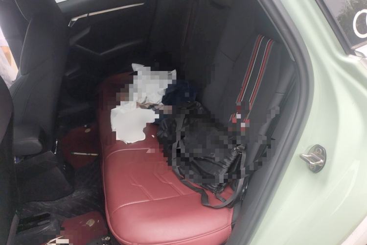 Used Audi A3 2023 Sportback 35 TFSI Fashionable Sports Model Left Rear Seat