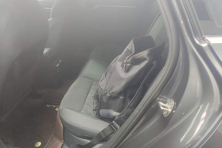 Used Audi A3 2024 Sportback 35 TFSI Luxury Sports Model Left Rear Seat
