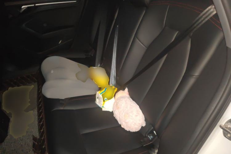 Used Audi A3 2024 A3L Limousine 35 TFSI Progressive Sport Edition Left Rear Seat