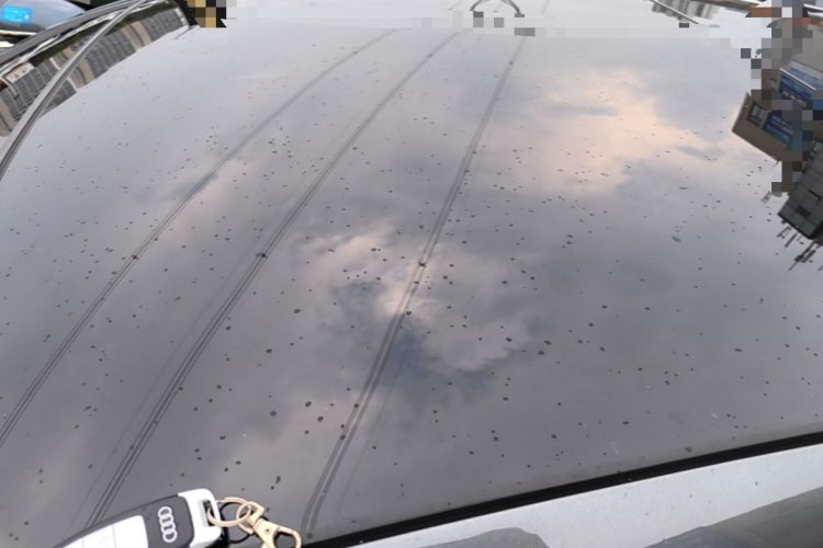 Used Audi A3 2026 A3L Limousine 35 TFSI Prestige Edition Roof