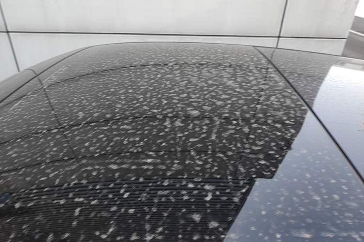 Used Audi A3 2026 Sportback 35 TFSI Prestige Edition Roof