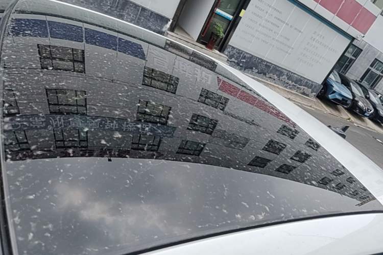 Used Audi A3 2026 A3L Limousine 35 TFSI Prestige Edition Roof
