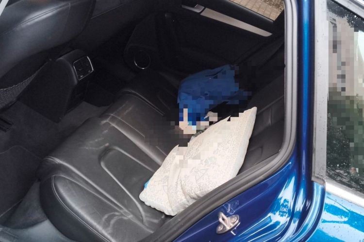 Used Audi A4 2014 40 TFSI allroad quattro plus version Left Rear Seat