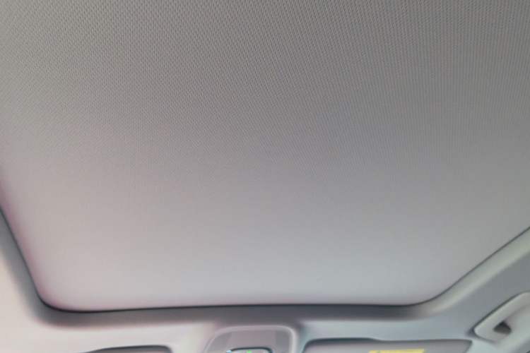 Used Audi A4 2020 Avant Futurist 40 TFSI Luxury Dynamic Model Headliner