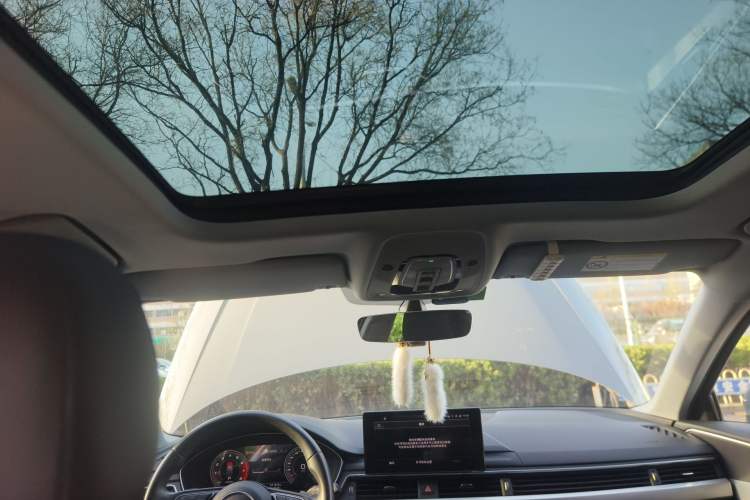 Used Audi A4 2021 Avant Futurist 40 TFSI Stylish and Dynamic Model Headliner