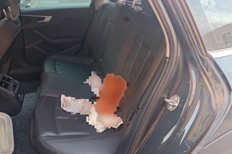 Used Audi A4 2021 allroad quattro Explorer Left Rear Seat